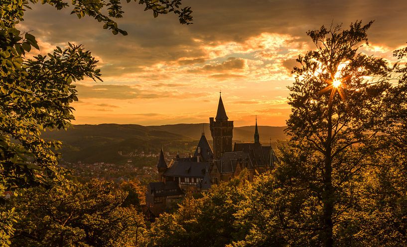 Wernigerode en kasteel bij zonsondergang van Frank Herrmann