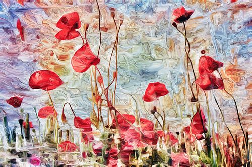 Feldmohn im stilvollem Licht