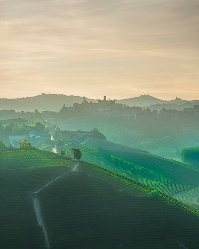 Village de Neive et vignobles des Langhe, Piémont, Italie