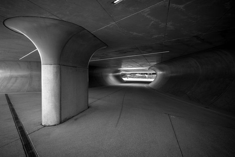 black and white by Bart Liesenborgs