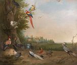 Bird Cabinet, Aert Schouman by Masterful Masters thumbnail