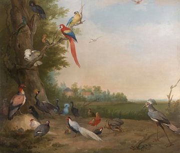 Bird Cabinet, Aert Schouman