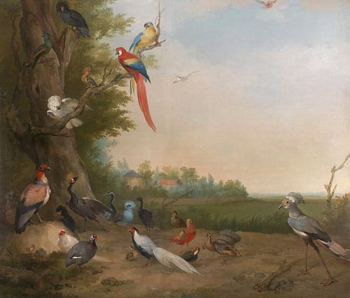 Vogelkabinet, Aert Schouman