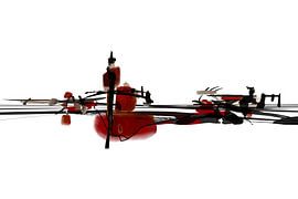 Das Konzert von Roberto Moro