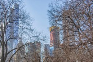 Central Park New York City by Marcel Kerdijk