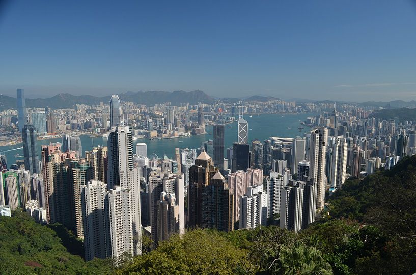 Peak View van Sylvia Schmidt