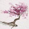 Japanse boom met roze kersenbloesem (aquarel schilderij sakura Japan bloemen romantisch lente prunus van Natalie Bruns