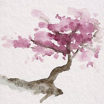 Japanese tree with pink cherry blossom (watercolor painting sakura Japan flowers romantic spring pru