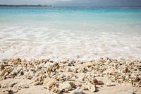 Wellen spülen über die Korallen am Strand