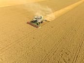 Combine oogst tarwe tijdens de zomer van Sjoerd van der Wal Fotografie thumbnail