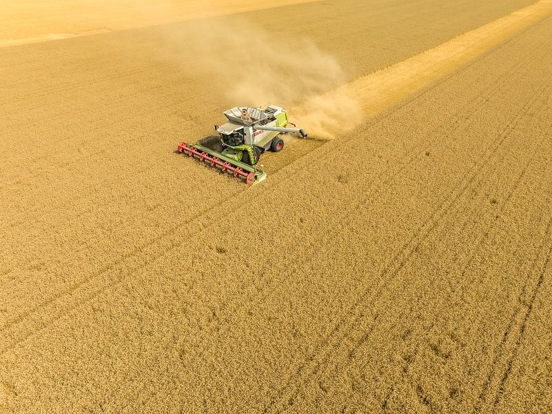 Combine oogst tarwe tijdens de zomer van Sjoerd van der Wal Fotografie