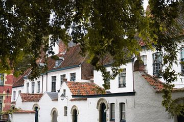 Herfst in het Sint Elisabeth Begijnhof Kortrijk België van Jan Van Bizar