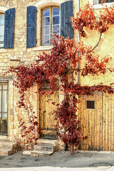 Der rote Efeu von Lars van de Goor auf ArtFrame, Leinwand, Poster und mehr  | Art Heroes