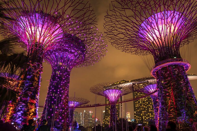 Gardens by the Bay, Singapur von Peter Schickert