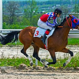 L'arrivée de la course de chevaux. sur Mikhail Pogosov