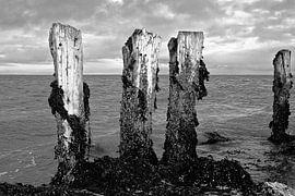 Anciens vestiges de la passerelle sur Norbert Sülzner
