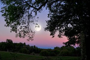 A la pleine lune sur Corinne Welp