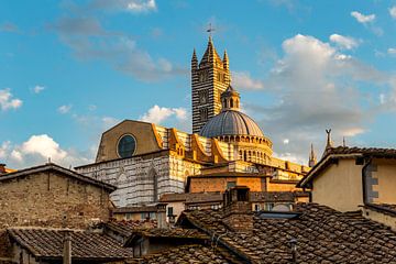 Kathedrale von Siena im Abendlicht