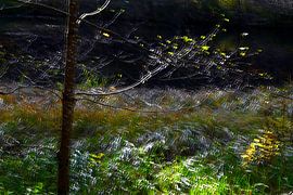 STUTTGART 4 von Miroslav Ptacek