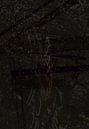 Death. van Frank Pap thumbnail