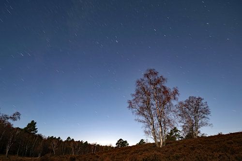 Heide Nacht von Borg Enders