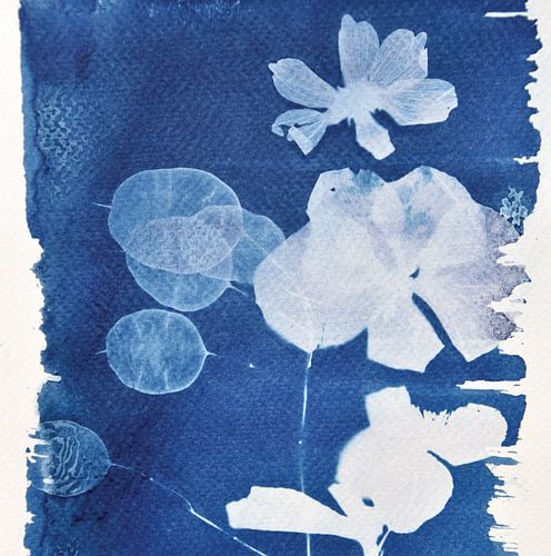 Blueprint for honesty by Lia Nauta