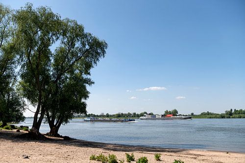 Beuningse Uiterwaarden