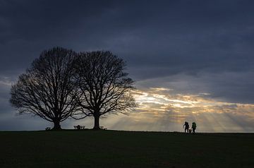 L'ambiance du soir aux chênes sacrés