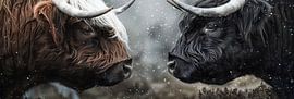 Deux montagnards écossais se regardent panorama