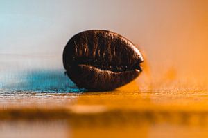 fève de café fraîche