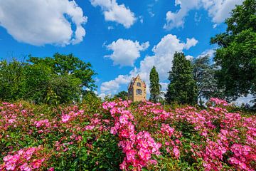 Spanischer Turm auf der Rosenhöhe Darmstadt, umgeben von rosa Rosen von pixxelmixx