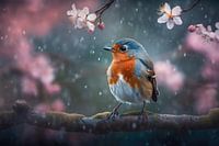 Robin among the cherry blossoms