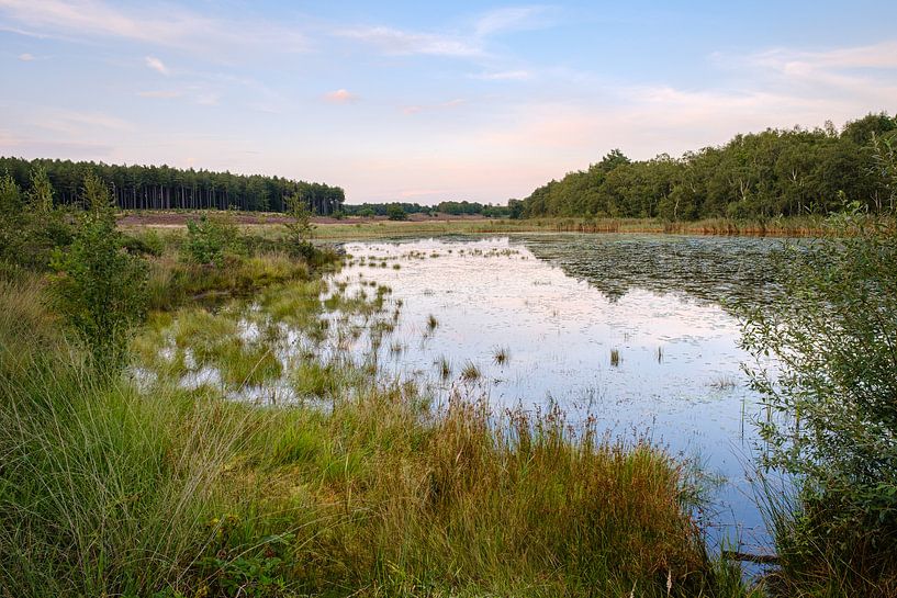 Teich Der Deutsche von Johan Vanbockryck