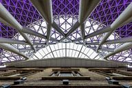 Purple Rain by Stefan Vlieger thumbnail