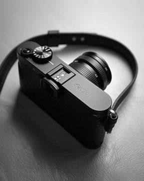 Camera in zwart-wit van fernlichtsicht