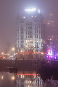 Witte huis Rotterdam van Bob Vandenberg