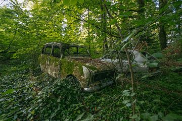 La nature s'empare de 2 voitures. sur Het Onbekende