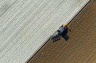 Tractor ploegt de grond voor het planten van gewassen van bovenaf gezien van Sjoerd van der Wal Fotografie thumbnail