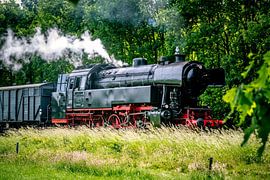Een stoomlocomotief rijdt door het platteland van Sjoerd van der Wal Fotografie