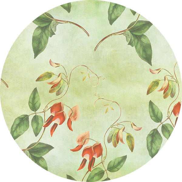 Vintage rood en groene tropische print van Vintage en botanische Prenten