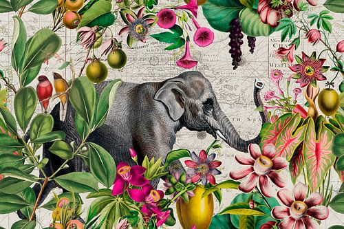 Olifanten tropisch paradijs