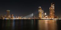 Erasmusbrug in avondlicht