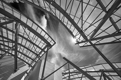 Dakstructuur van de Fondation Louis Vuitton