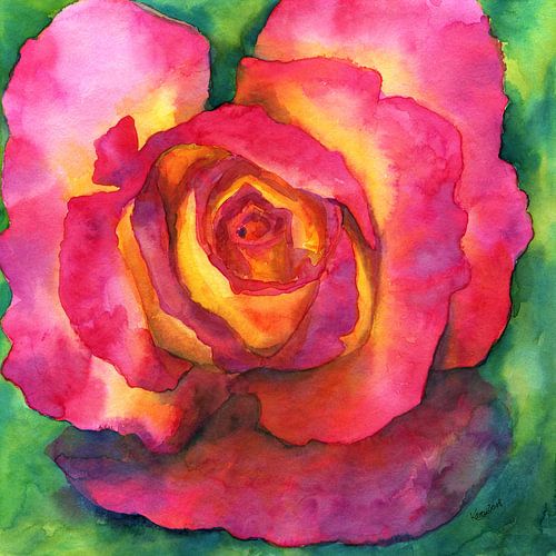 Mooie roos aquarel schilderij