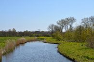 Landschap in de Aalkeetbuitenpolder (Vlaardingen) van FotoGraaG Hanneke thumbnail