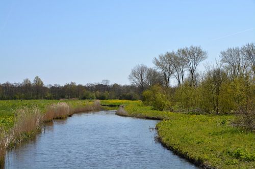 Landschap in de Aalkeetbuitenpolder (Vlaardingen)
