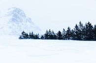 Sneeuwlandschap op Lofoten van Nando Harmsen thumbnail