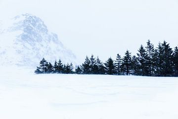 Verschneite Landschaft auf den Lofoten