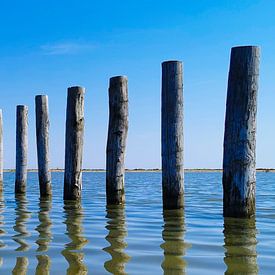 Markerwadden sur Nathalie Pol