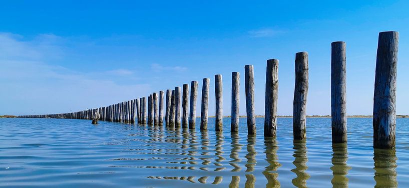Markerwadden by Nathalie Pol